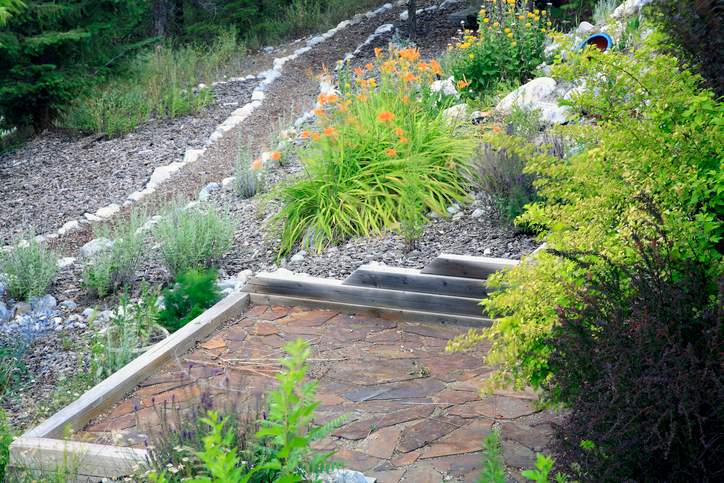 Xeriscaped gardening ideas featuring decorative rock and drought-friendly plants in Ogden, UT.
