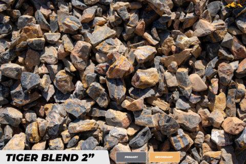 Tiger blend